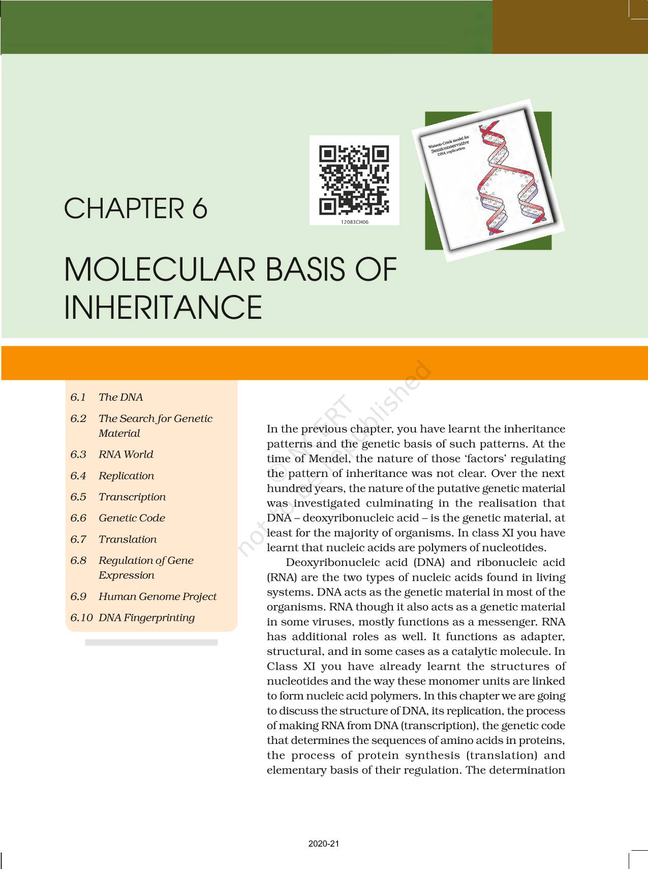 Molecular Basis Of Inheritance - NCERT Book Of Class 12 Biology